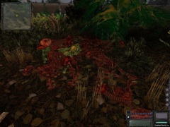 Кто видит баюна?