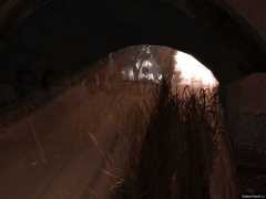 Всем лучи энциклопедии!