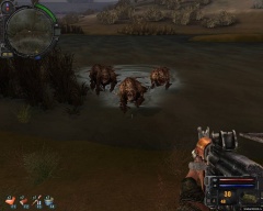 Новая текстура плотей