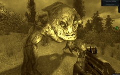 Бандитская рожа